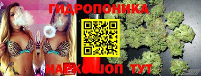ГАЛЛЮЦИНОГЕННЫЕ ГРИБЫ Кандалакша