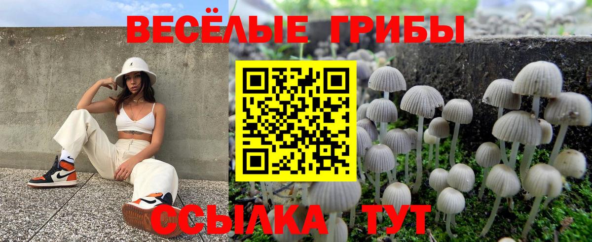 Краснокамск  Псилоцибиновые грибы Magic Shrooms  Вход с VPN 