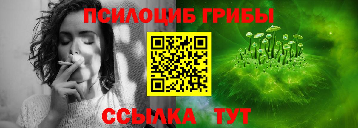 Галлюциногенные грибы Psilocybine cubensis Краснокамск